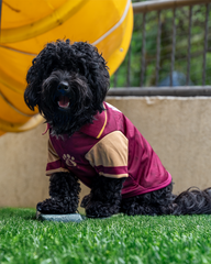 Camiseta Pijao Pets 2025 - Vinotinta